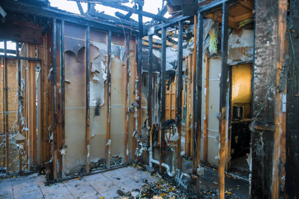 Professional Fire Damage Assessment technician working in Cologne, MN