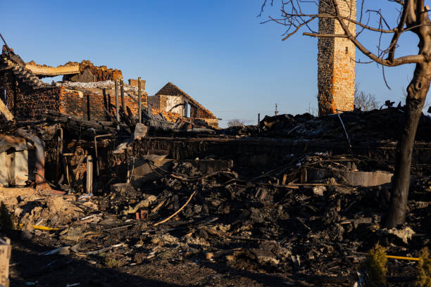Reliable Fire Damage Assessment contractor in Cologne, MN by Fire Damage Doption