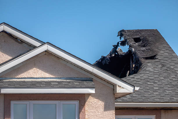 Top rated local Fire Damage Assessment specialists in Cologne, MN